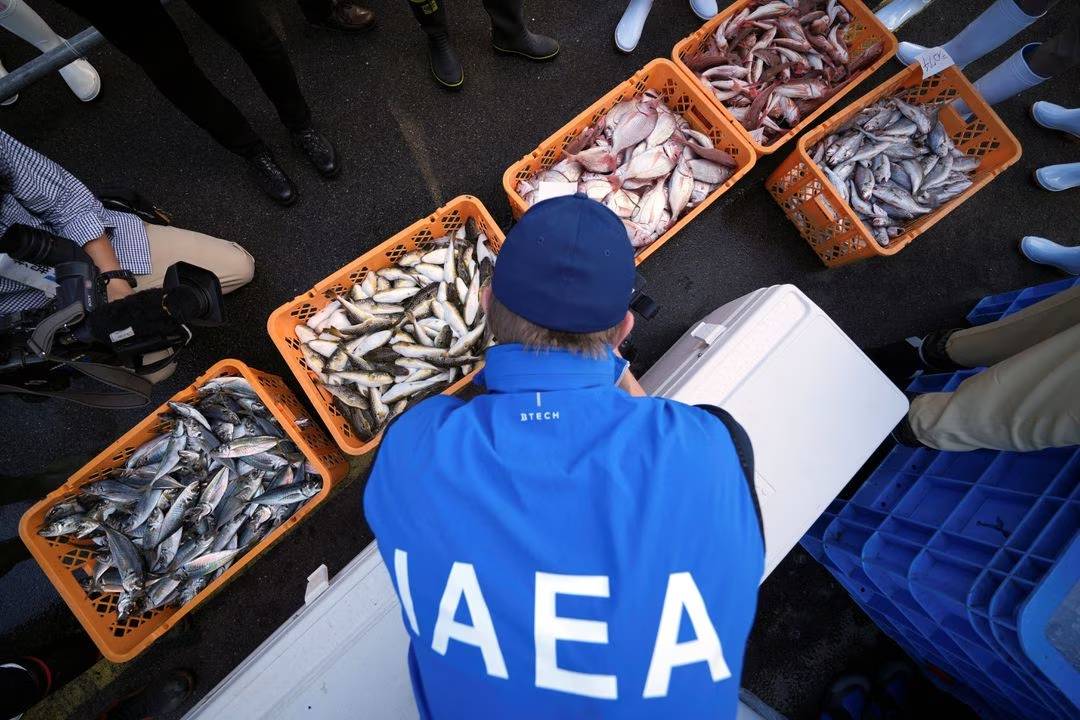 联合国专家采集鱼市场样本 验证日本核污水排入海 