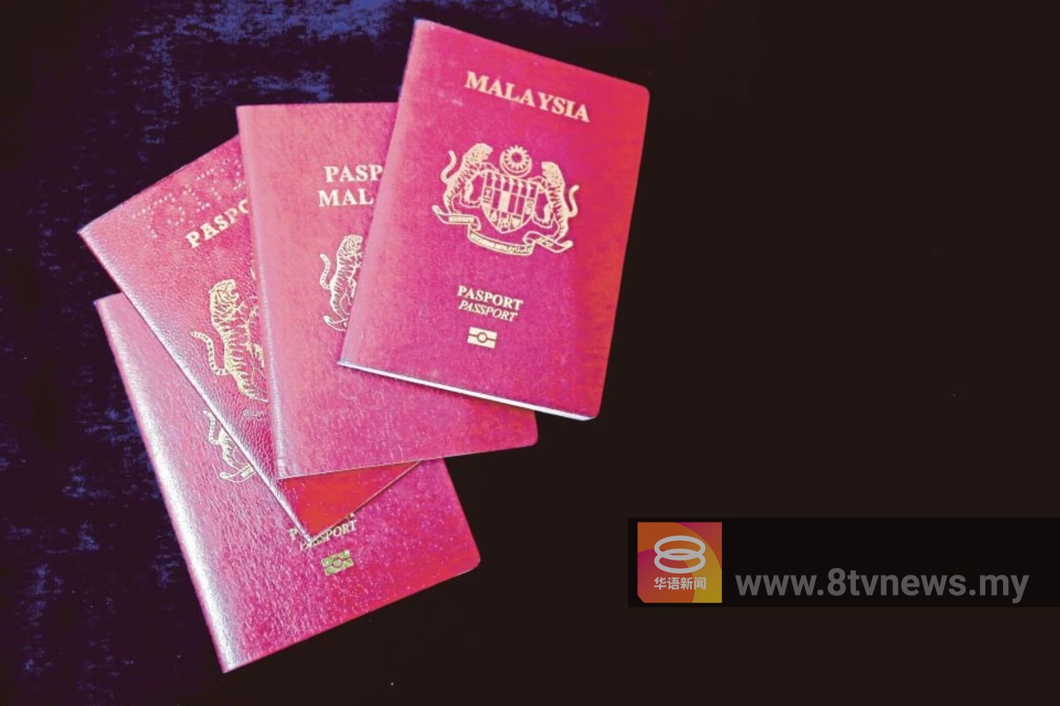效仿其他东盟国家  移民局研究推10年期限护照  