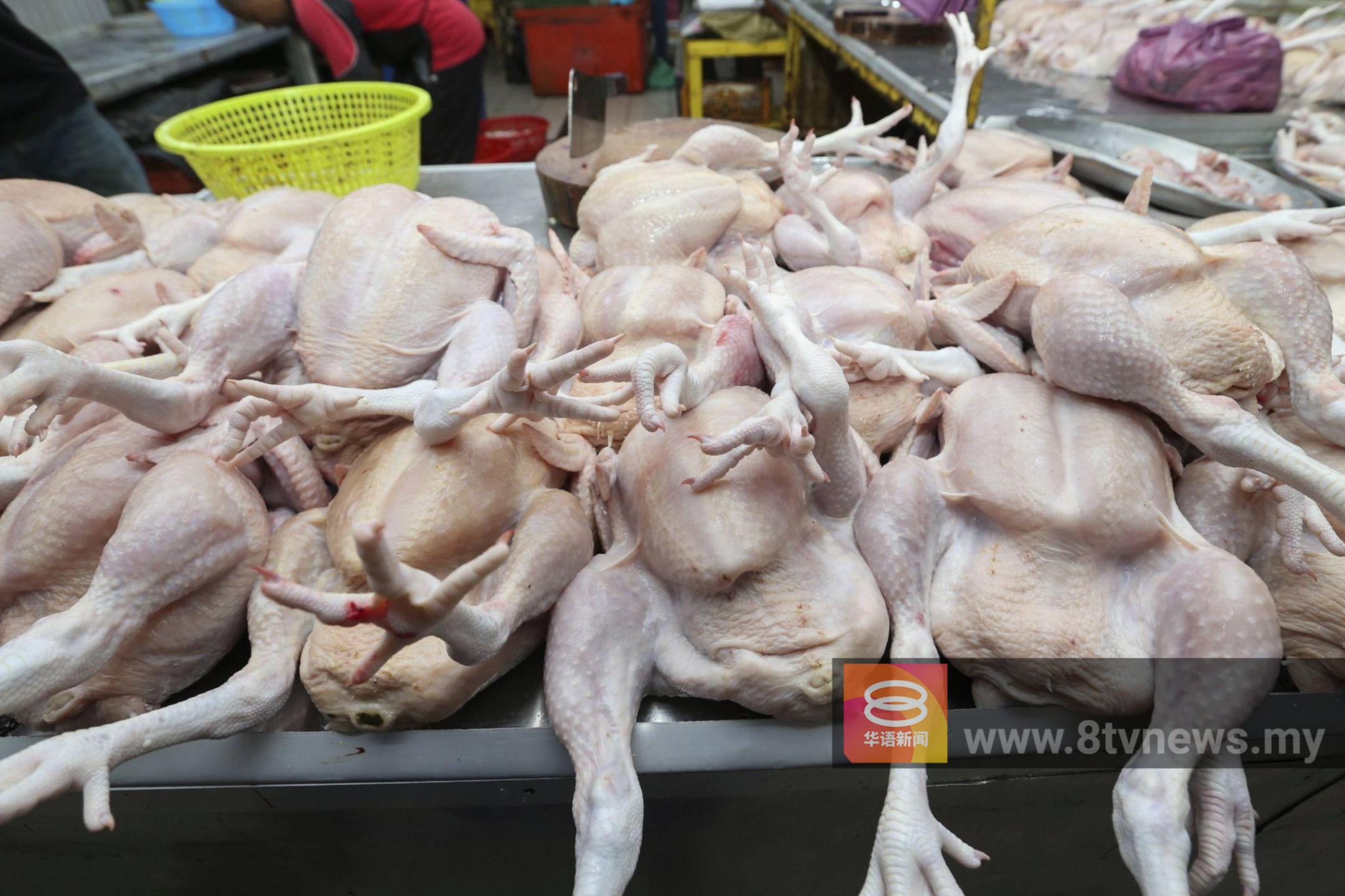 肉鸡比顶价贵80仙 霹供应商遭罚1万