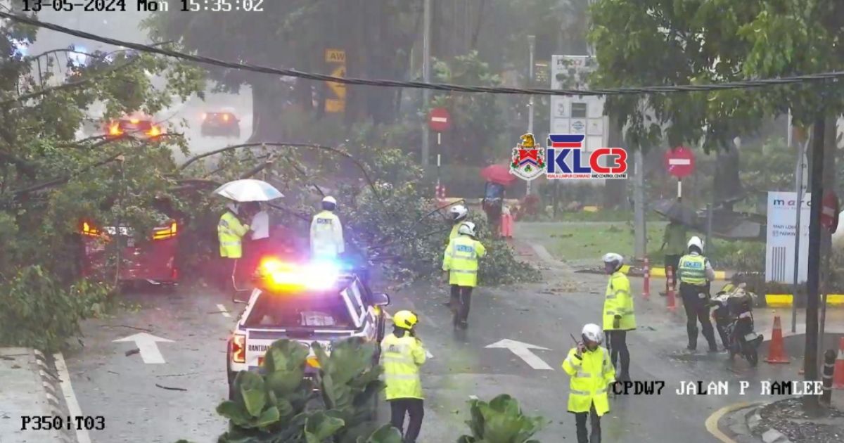 【附视频】隆市三处树倒塌 10辆交通工具压损无伤亡