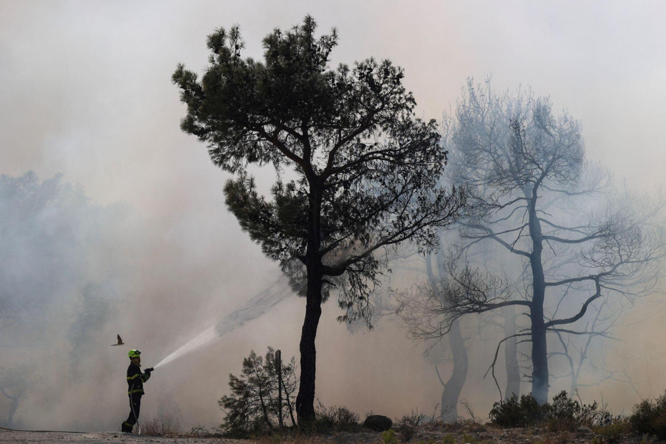 智利逾百死山火  消防员与林业员涉嫌纵火