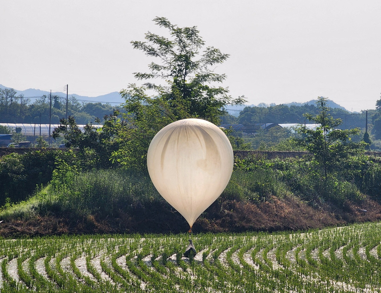 抗议朝鲜空飘气球“屎攻”  韩国撕毁919军事协议