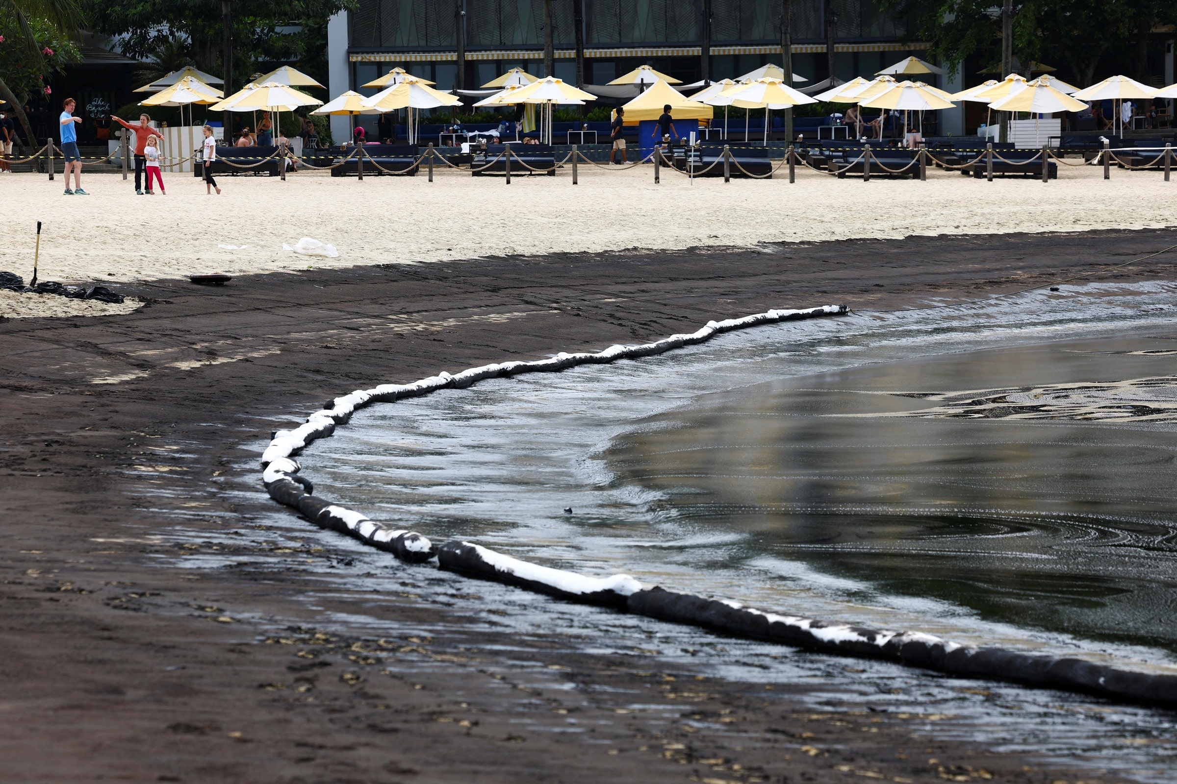 圣淘沙岛海滩现乌黑油渍  紧急关闭严禁水上活动