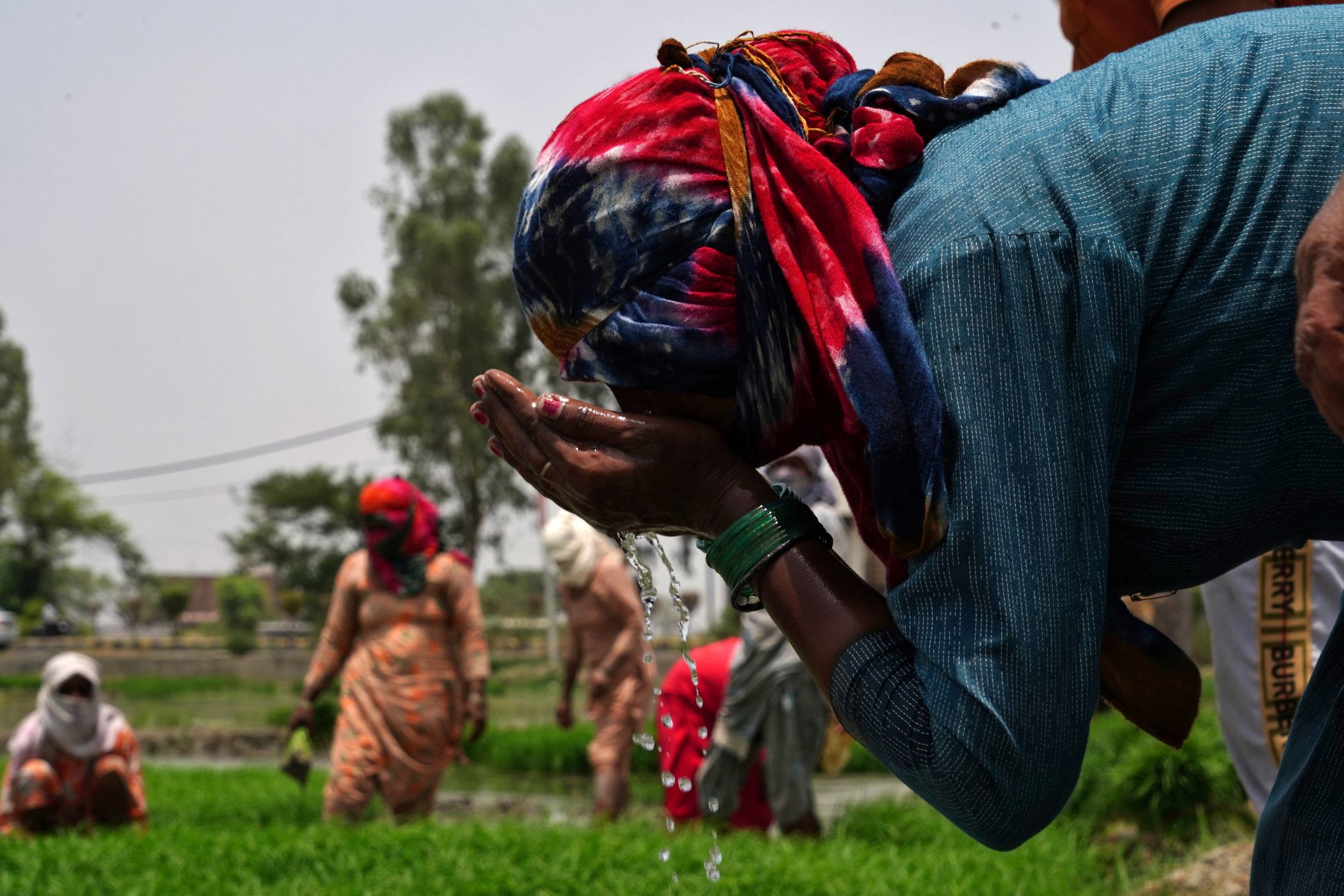 印度连续数天热浪 5万女性首获极端天气赔偿