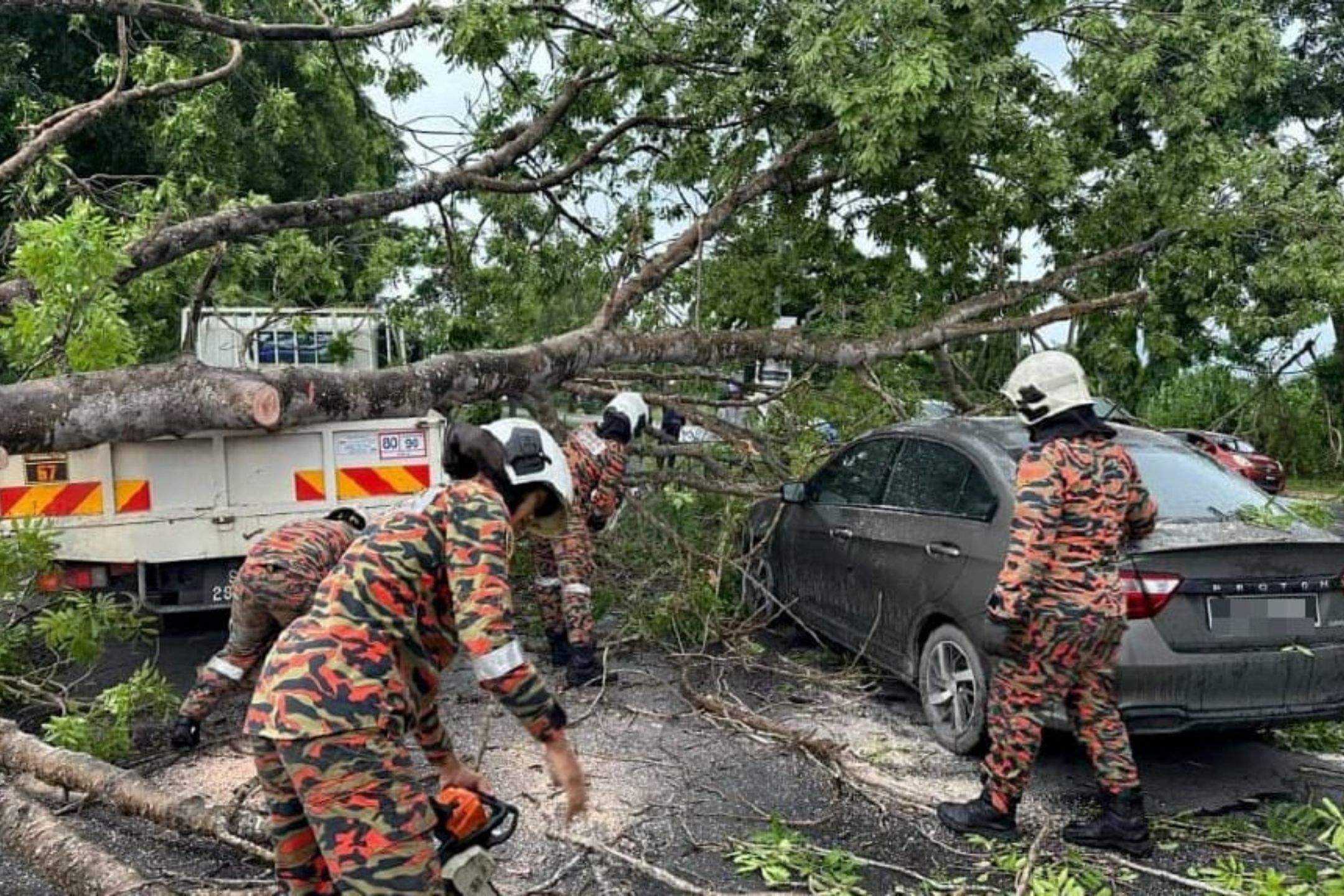 狂风暴雨吹倒大树砸2车  司机经历惊险一刻