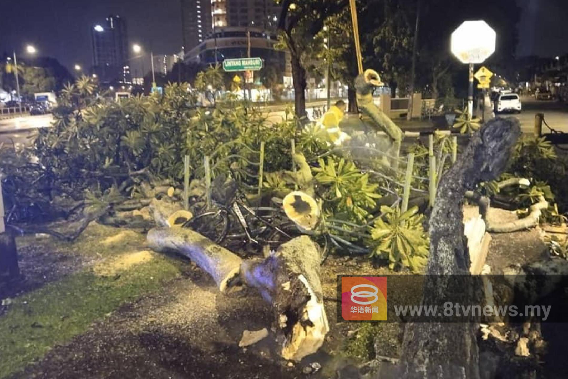 暴风雨致树倒压电线杆  槟吉7地区电供受影响