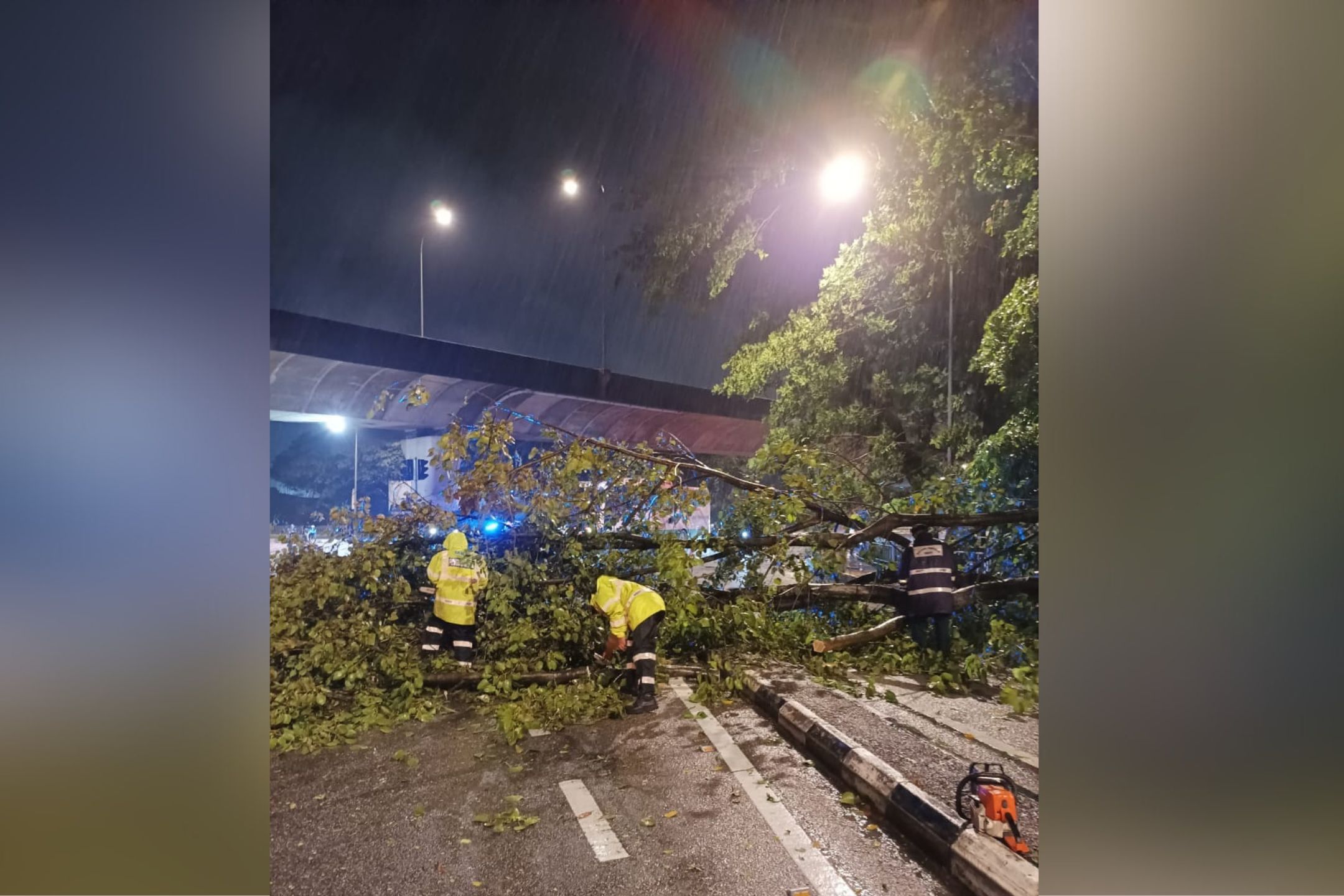 狂风暴雨袭槟岛 40树倒10民宅损毁