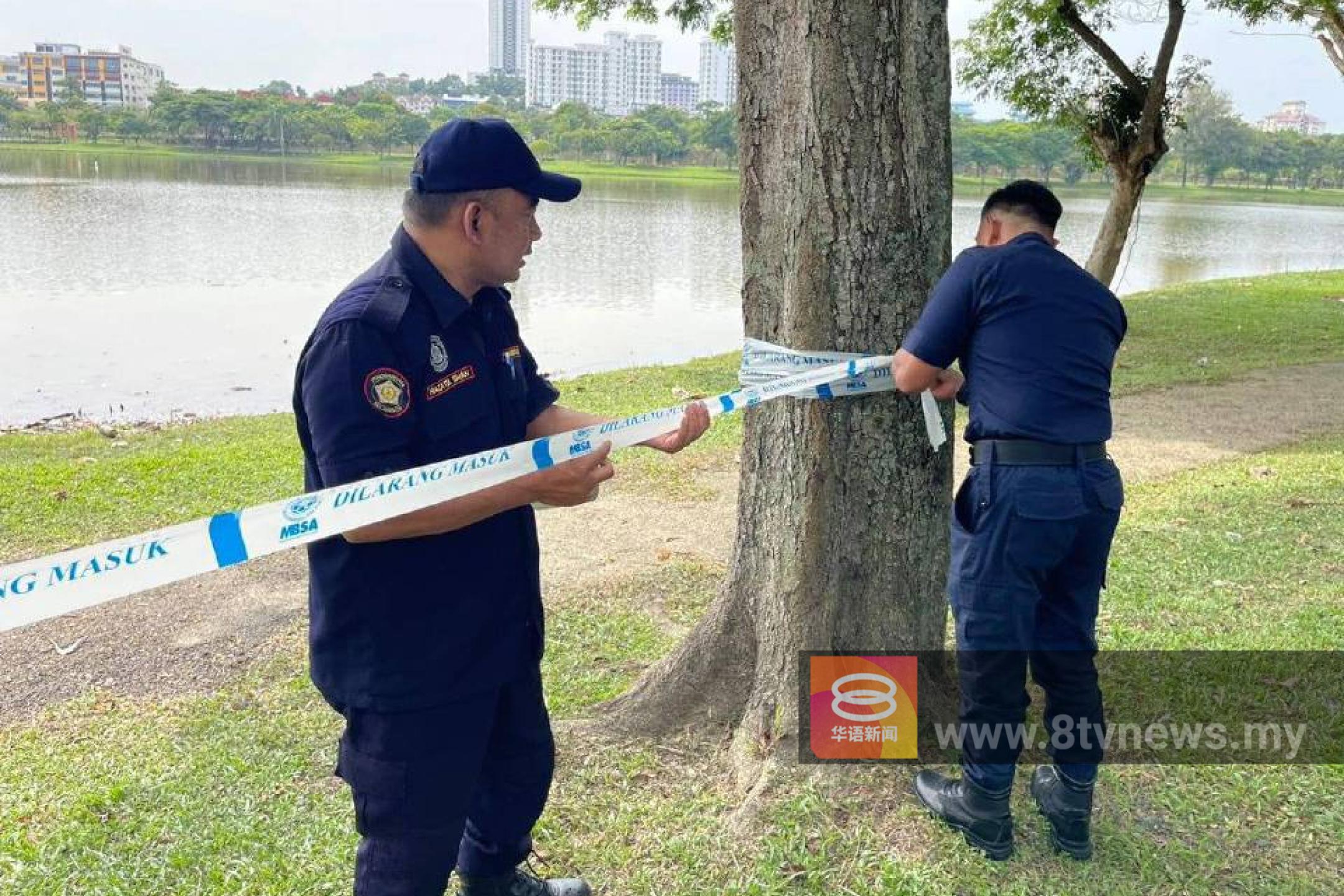 莎亚南湖鳄鱼出没  市政厅已设置陷阱捕鳄