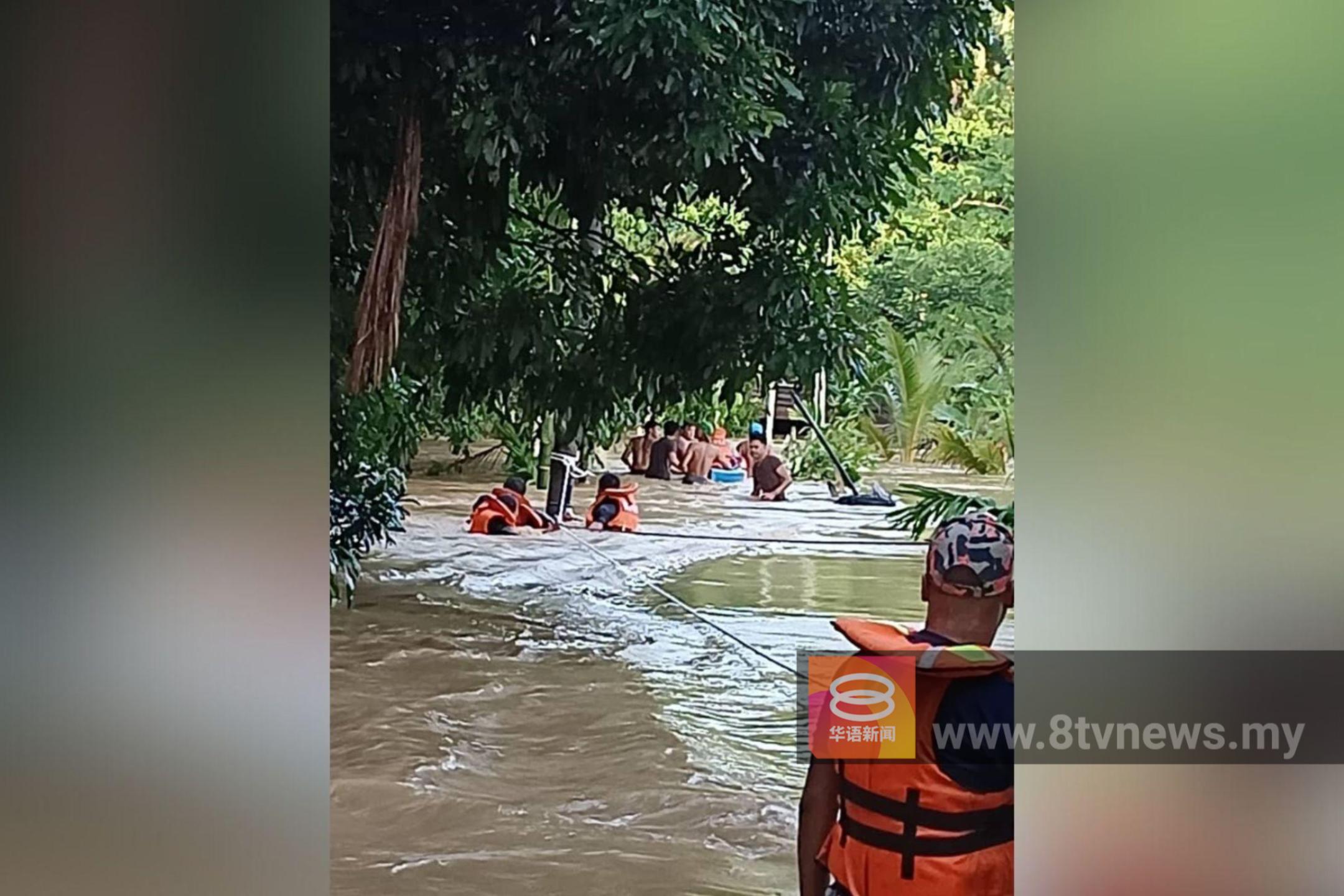 吉打华玲凌晨水灾  乐龄妇女等3人爬树自救