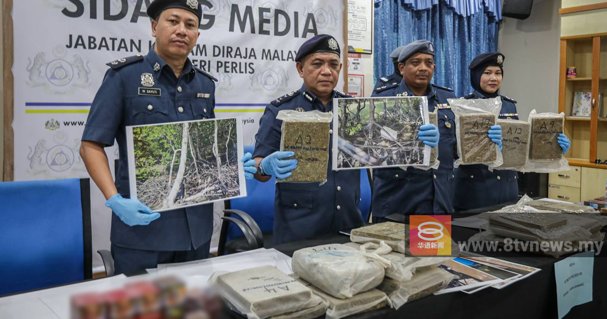 玻关税局起获89块大麻砖 相信弃置红树林待领